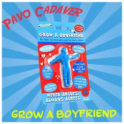 Grow A Boyfriend