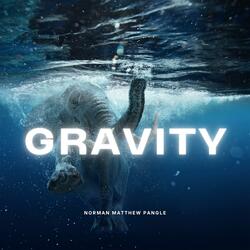 Gravity