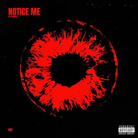Notice Me