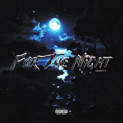 For The Night (feat. BigB)