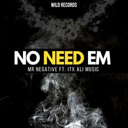 No Need Em (Mr Negative) (feat. ITX ALI MUSIC)