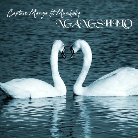 Ngangshilo (feat. Musiholiq)