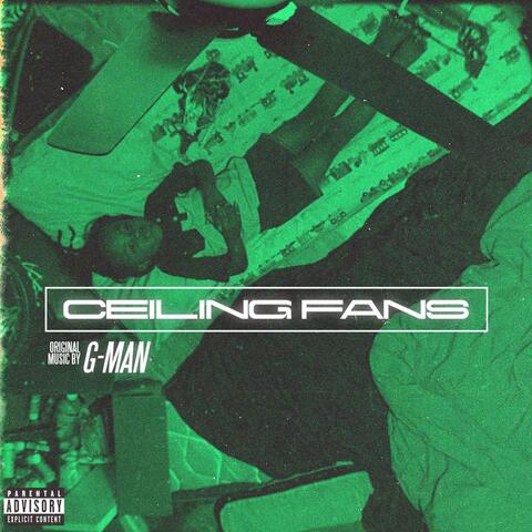 Ceiling Fans