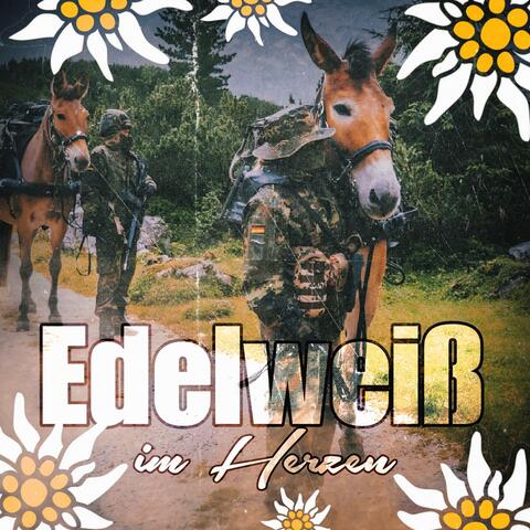 Edelweiß im Herzen