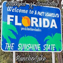 Party Down South (feat. HunchoLuke & BlakkYkd)