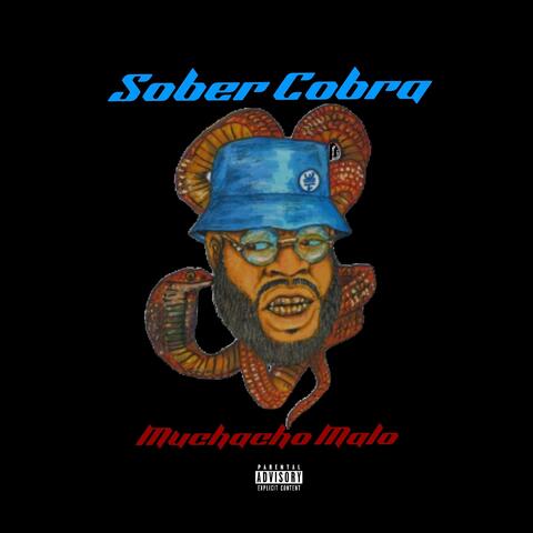 SOBER COBRA