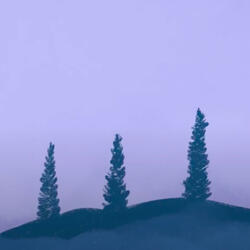 cycles