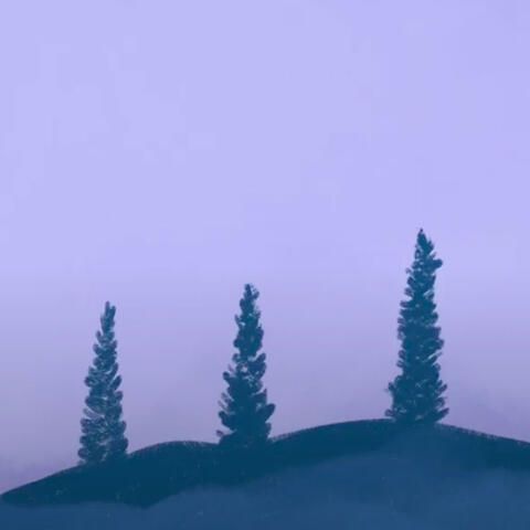 cycles