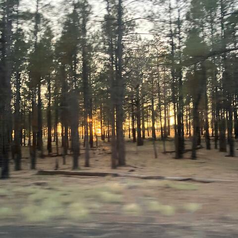 Two Hours and Forty-Eight Minutes