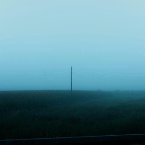 next year will be better