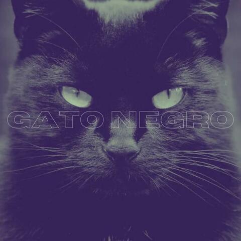 Gato Negro