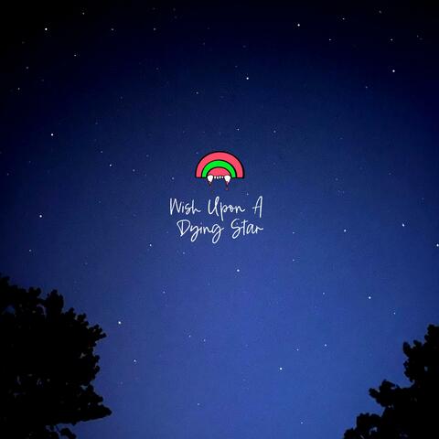 Wish Upon A Dying Star