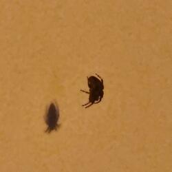 four4seeable futures, THEY SUCK.m4a