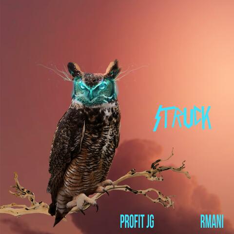 Struck (feat. Rmani)