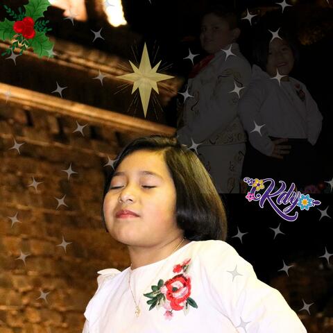 NAVIDAD EN LOS ANDES