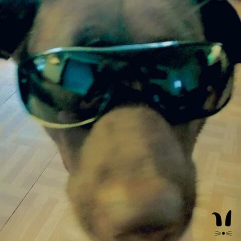 El Cartel Del Pan (feat. Airport Dog)