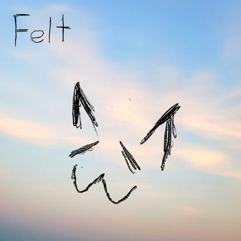 Felt