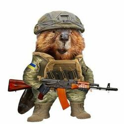 Too Many Kicks Bober