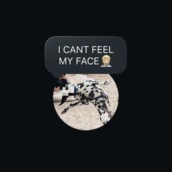 I CANT FEEL MY FACE