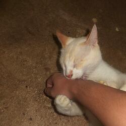 she waited for my letter