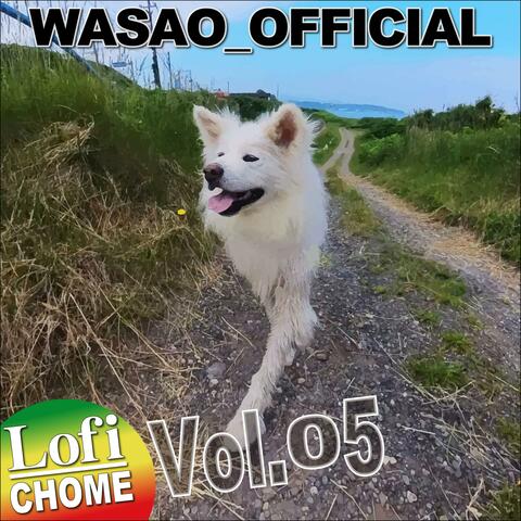 Lofi CHOME, Vol. 05