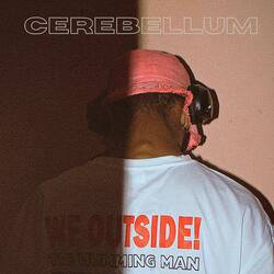 CEREBELLUM