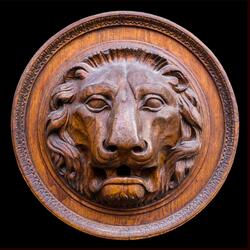 Here Be Lions