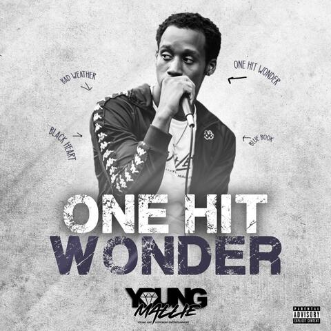 One Hit Wonder