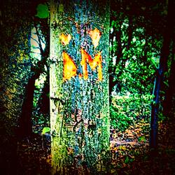 Wish I Never Met You