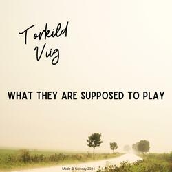 What They Are Supposed To Play