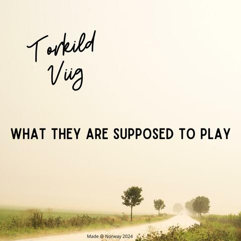 What They Are Supposed To Play