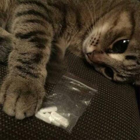 Bean Up