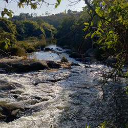 Parabéns, paz e bem