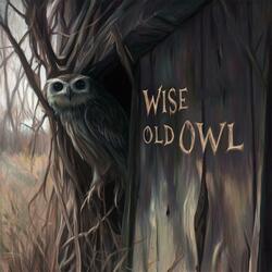 Wise Old Owl