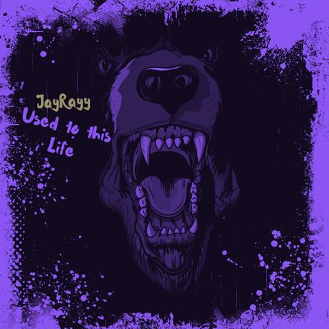 Used 2 Dis Life