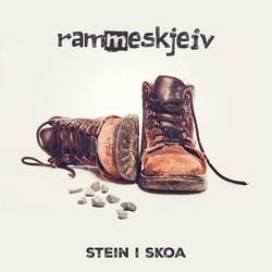 Stein i skoa