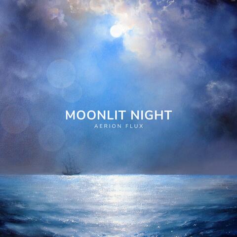 Moonlit Night