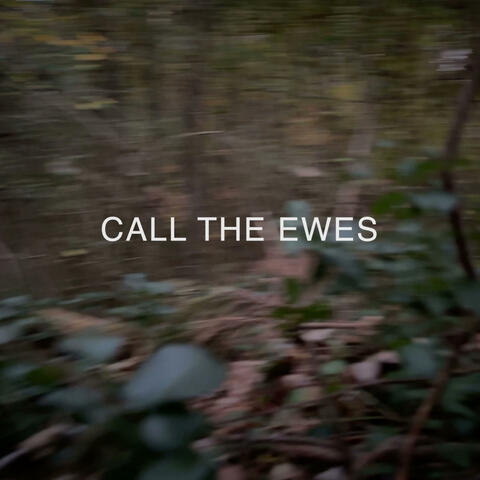 Call The Ewes
