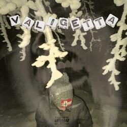 Valigetta (feat. Fredddy)
