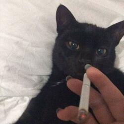 Powiedz jak mam żyć ???