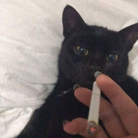 Powiedz jak mam żyć ???