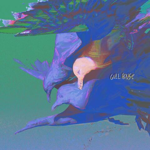 Gull House I