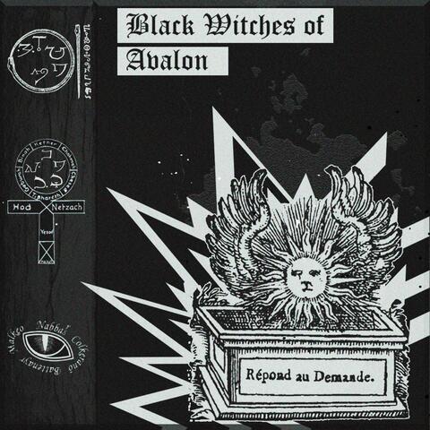 Black Witches of Avalon