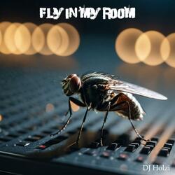 Fly in my Room