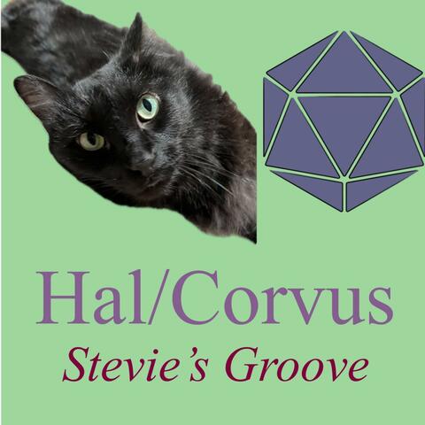 Stevie's Groove