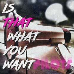 Is That What You Want