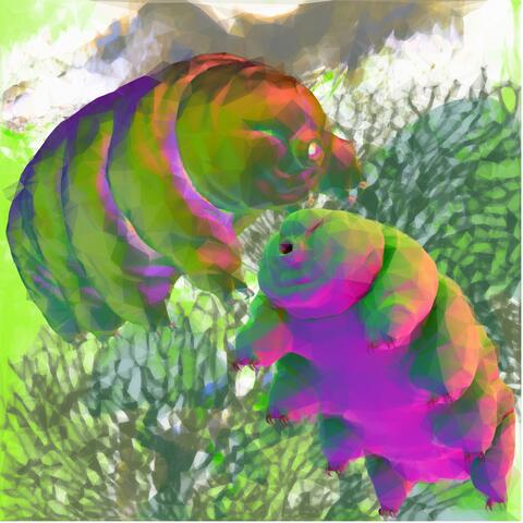 Waterbears Remixes