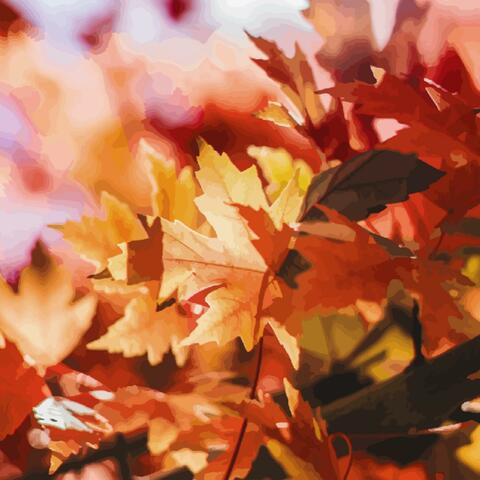 Seasonal Winds