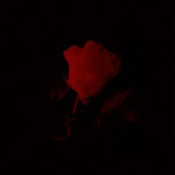 Paralyzed (feat. Rejekt)