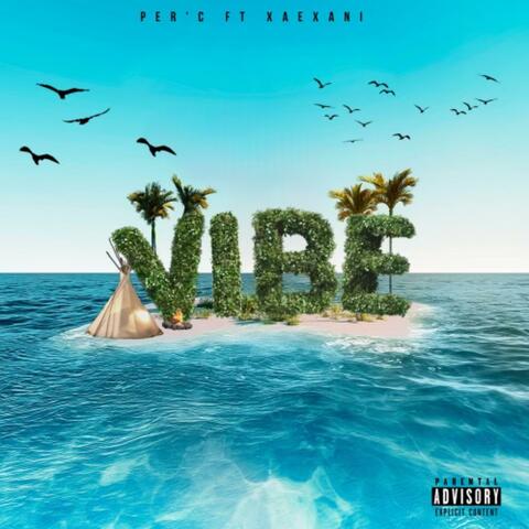 Vibe (feat. XaeXani)